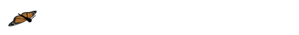 btrfly_an.gif (52764 bytes)